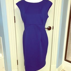 LN Calvin Klein dress perfect hourglass shaping